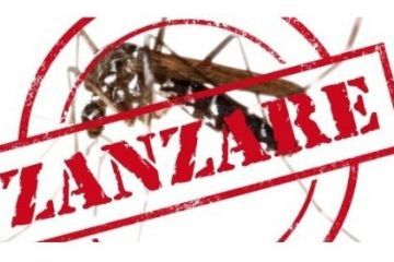 Lotta alle zanzare